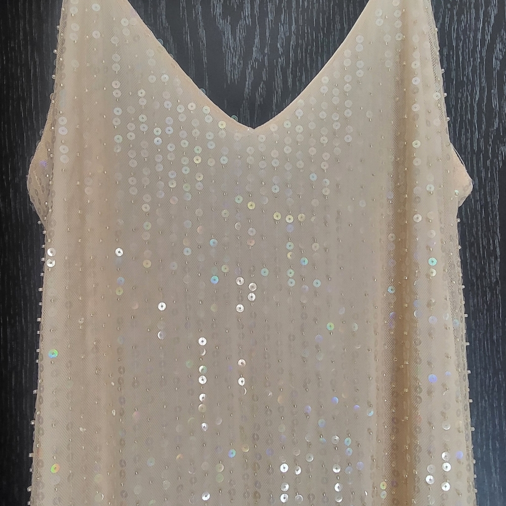 Zara Women's Beaded Sheer Sequins Maxi Dress Beige Size L - Picture 7 of 16